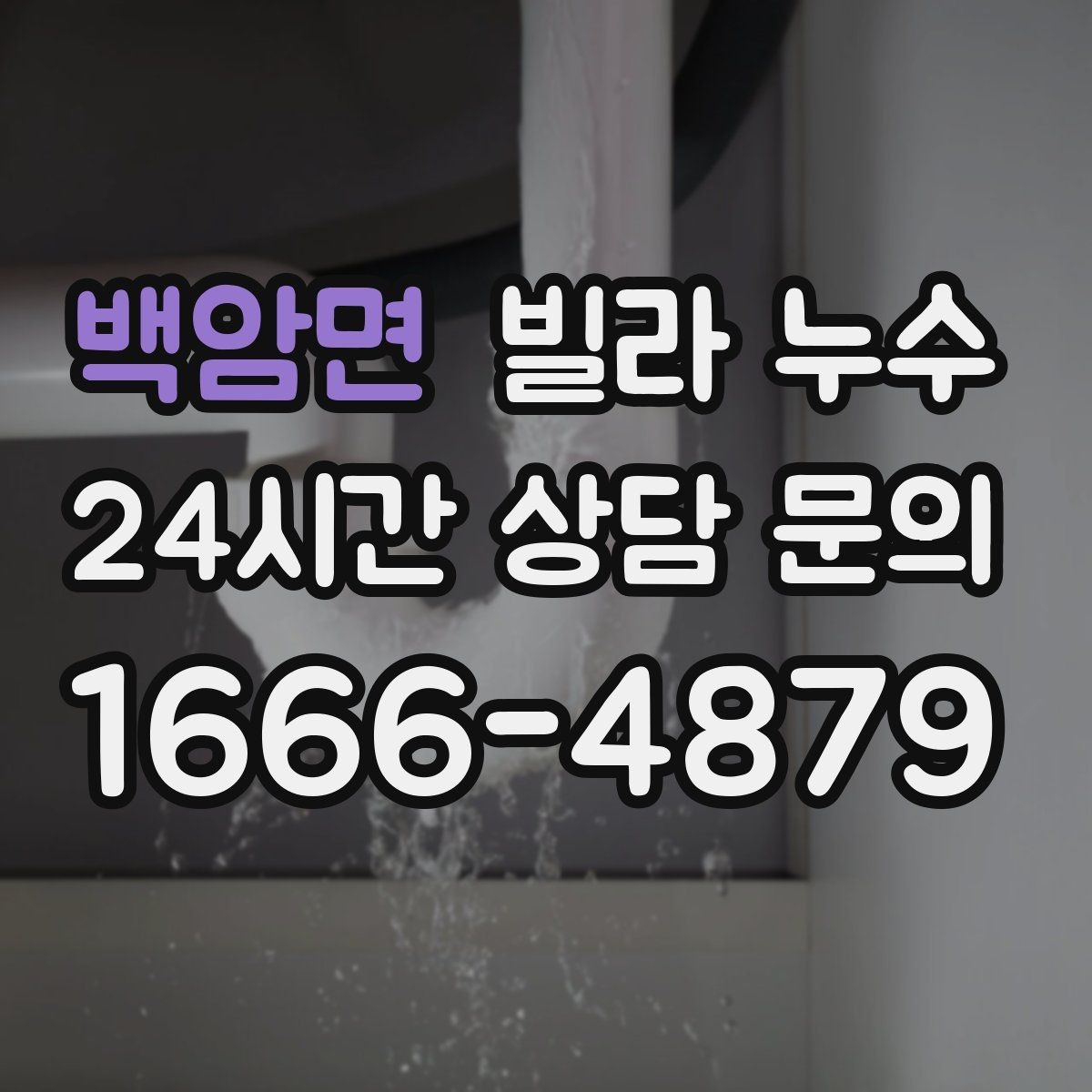 백암면 빌라 누수 배수구 역류가 누수처럼 보일 때
