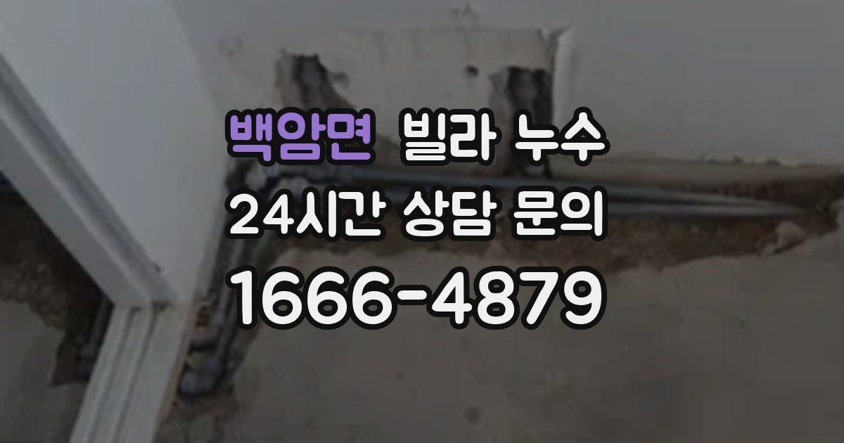 백암면 빌라 누수