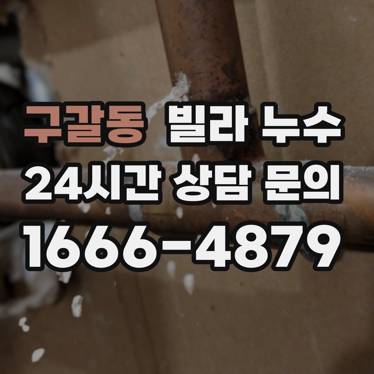 구갈동 빌라 누수 세탁기 호스 주변 누수로 바닥이 젖는 경우