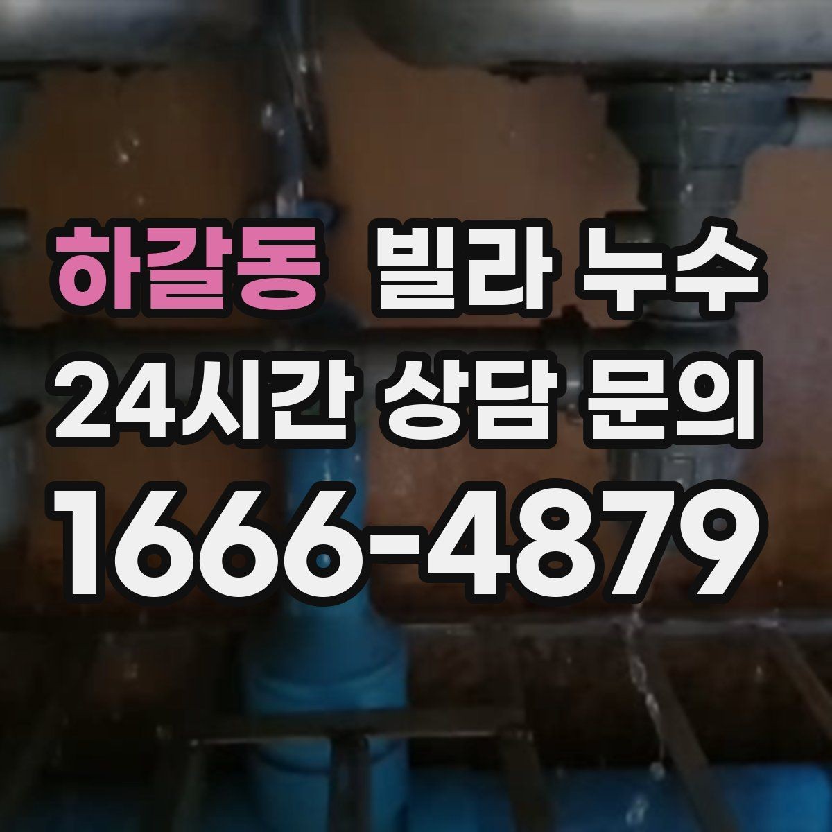 하갈동 빌라 누수 누수 해결 후 건조가 왜 중요한가요