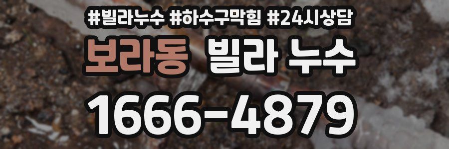 보라동 빌라 누수