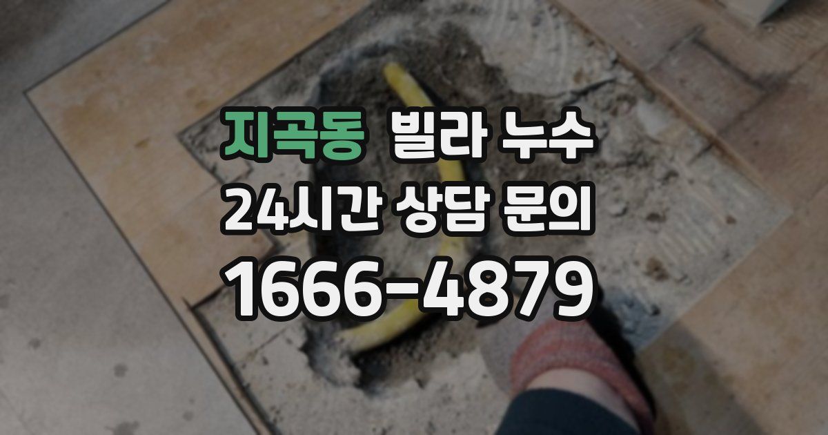 지곡동 빌라 누수