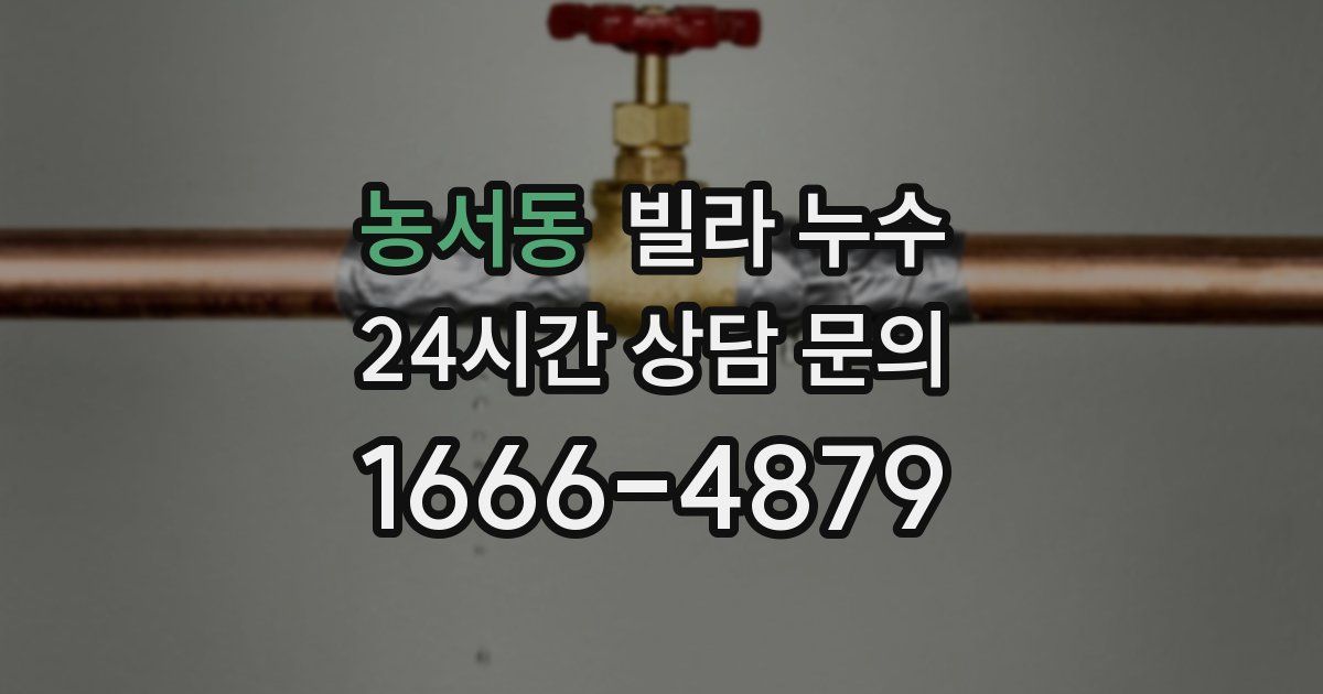 농서동 빌라 누수