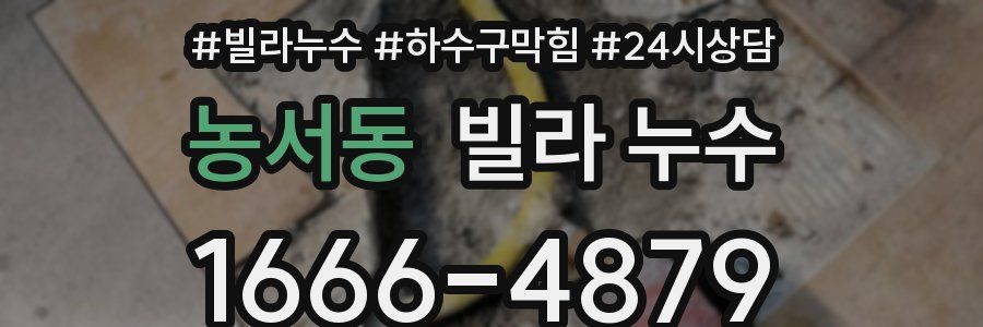 농서동 빌라 누수