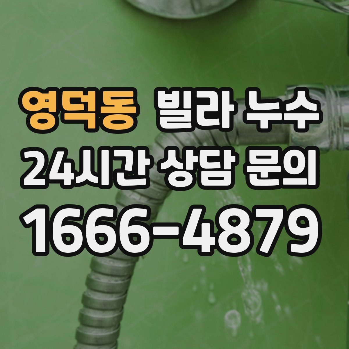 영덕동 빌라 누수 배수관 문제로 벽이 젖는 경우 정리