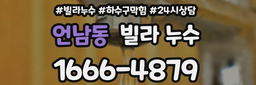 언남동 빌라 누수