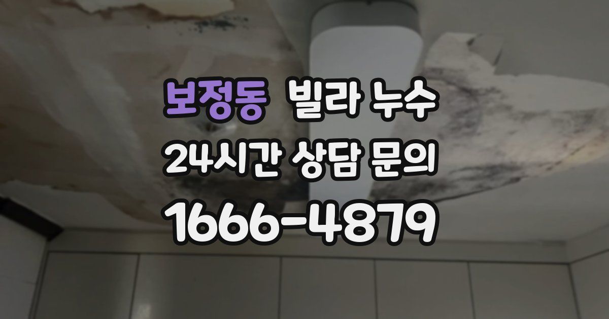 보정동 빌라 누수