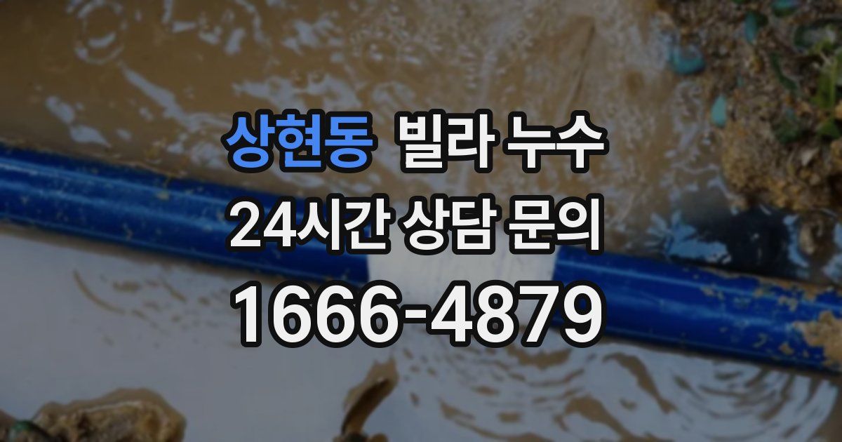 상현동 빌라 누수
