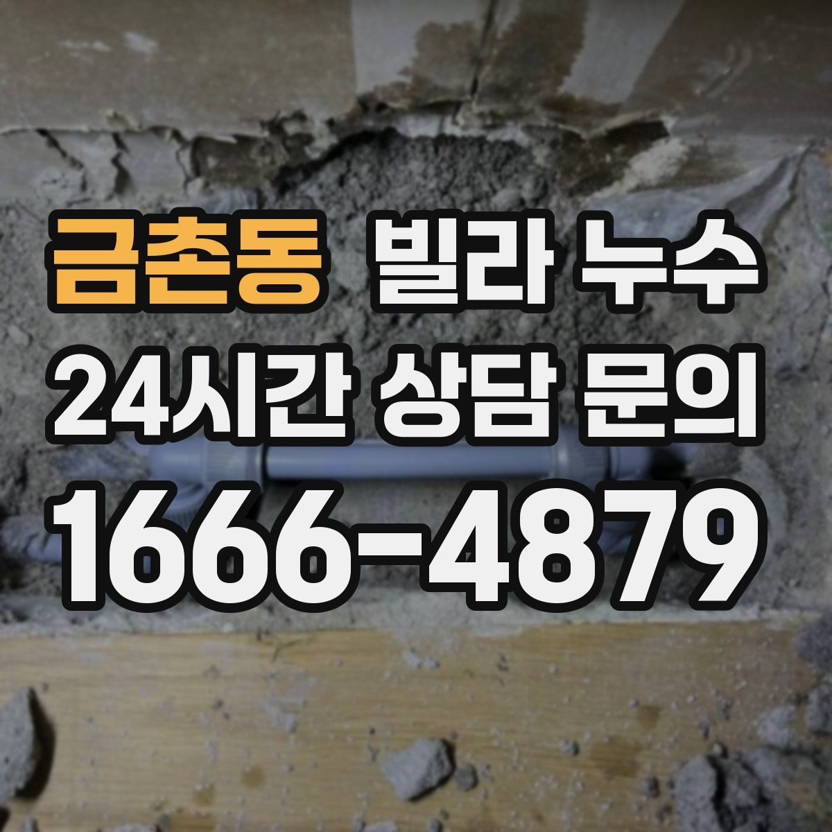 금촌동 빌라 누수