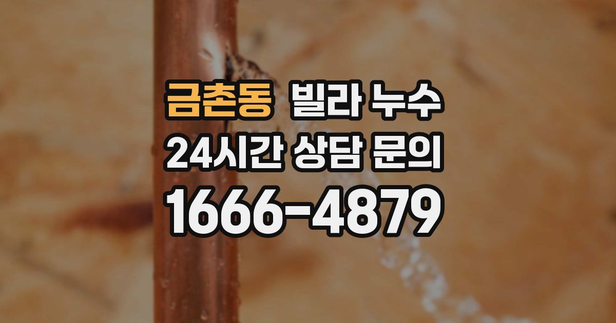 금촌동 빌라 누수