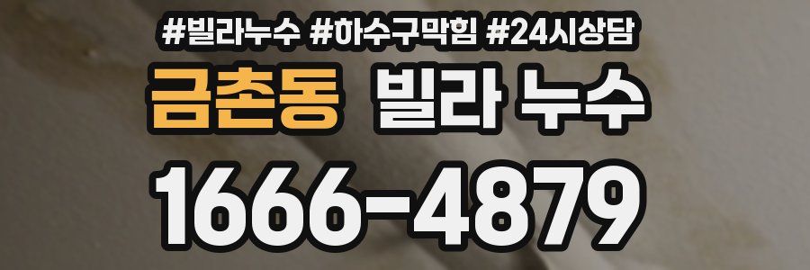 금촌동 빌라 누수