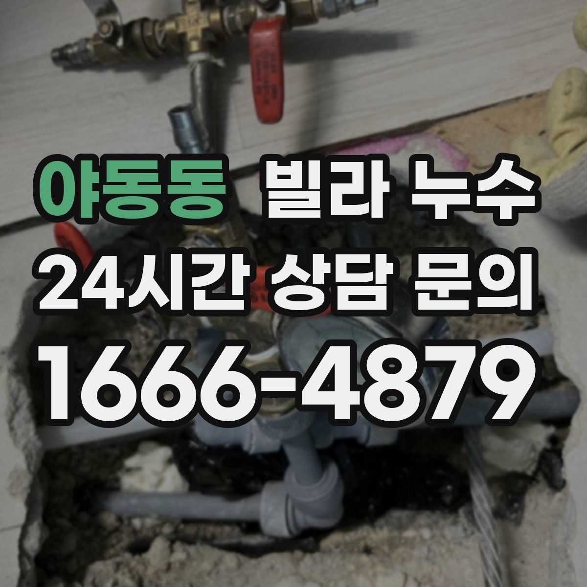 야동동 빌라 누수