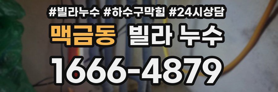 맥금동 빌라 누수