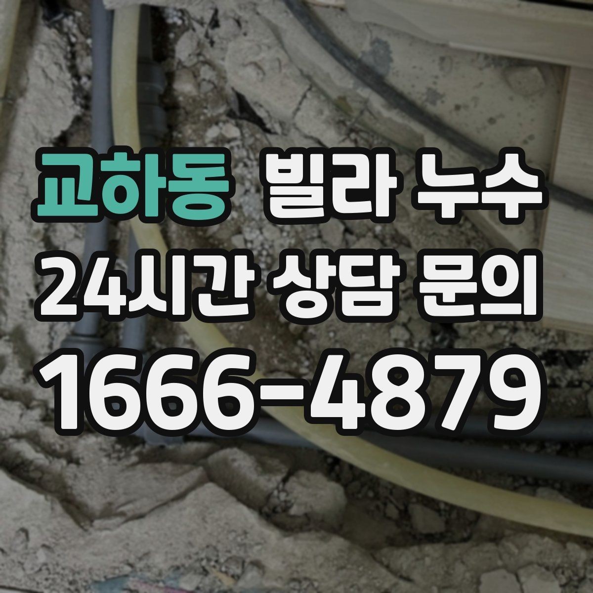 교하동 빌라 누수 위층에서 물을 쓰는 순간 아래층 천장이 젖는다면