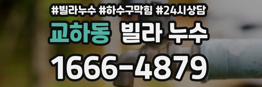 교하동 빌라 누수