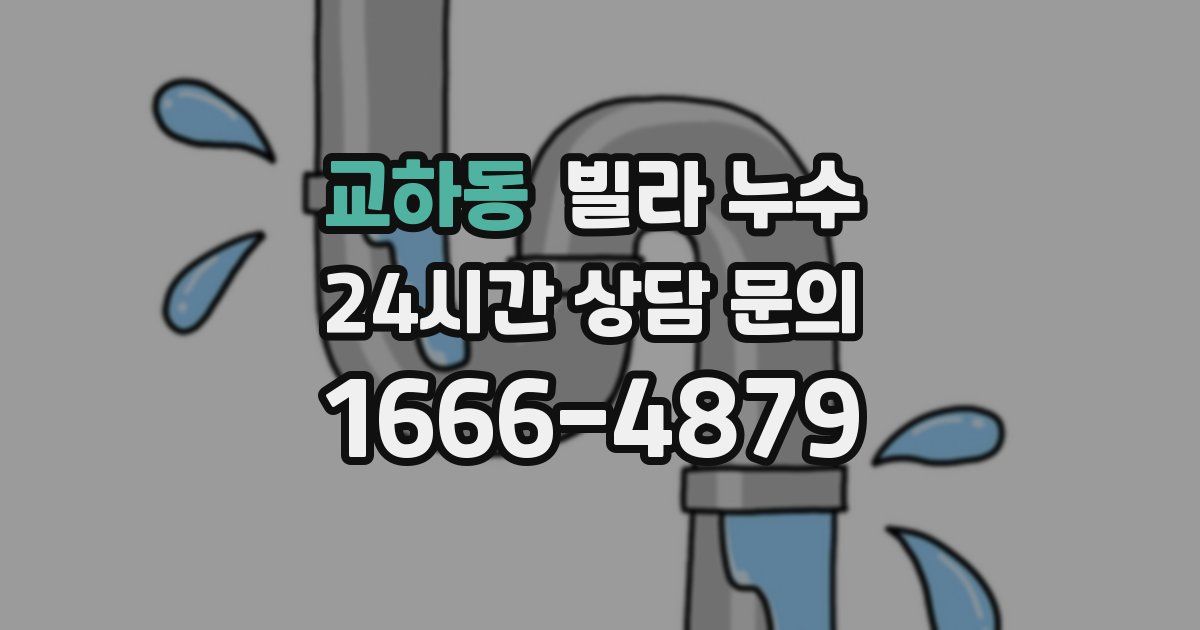 교하동 빌라 누수