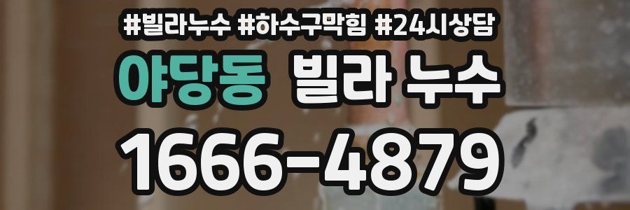 야당동 빌라 누수