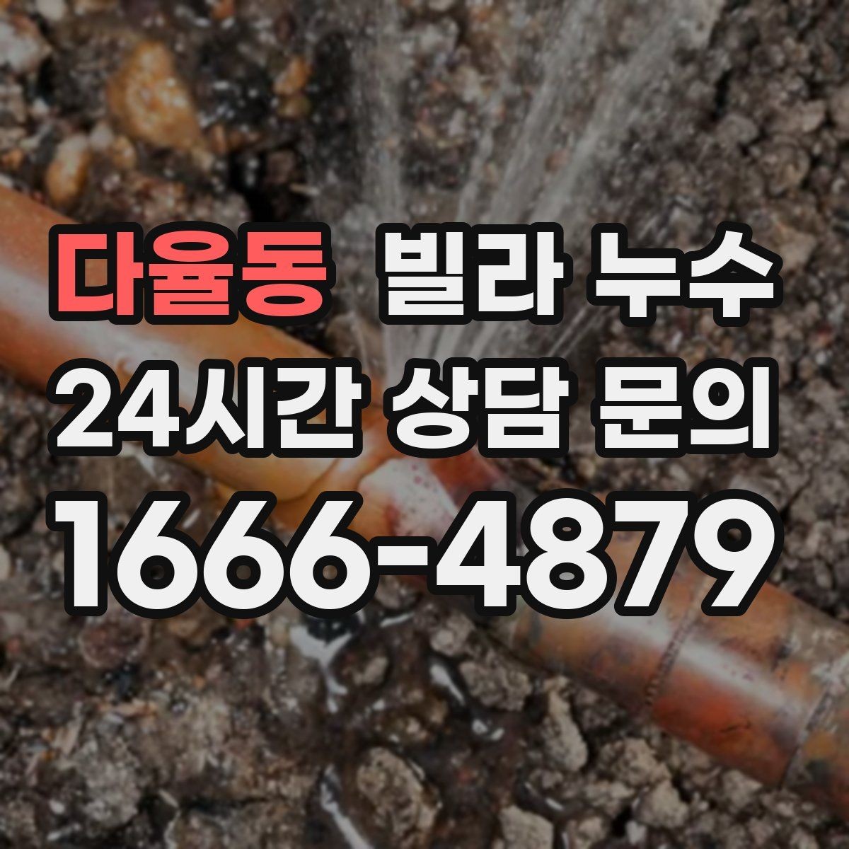 다율동 빌라 누수 욕실 바닥 물고임이 줄지 않으면 위험 신호