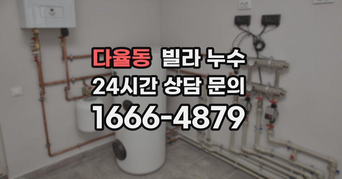 다율동 빌라 누수