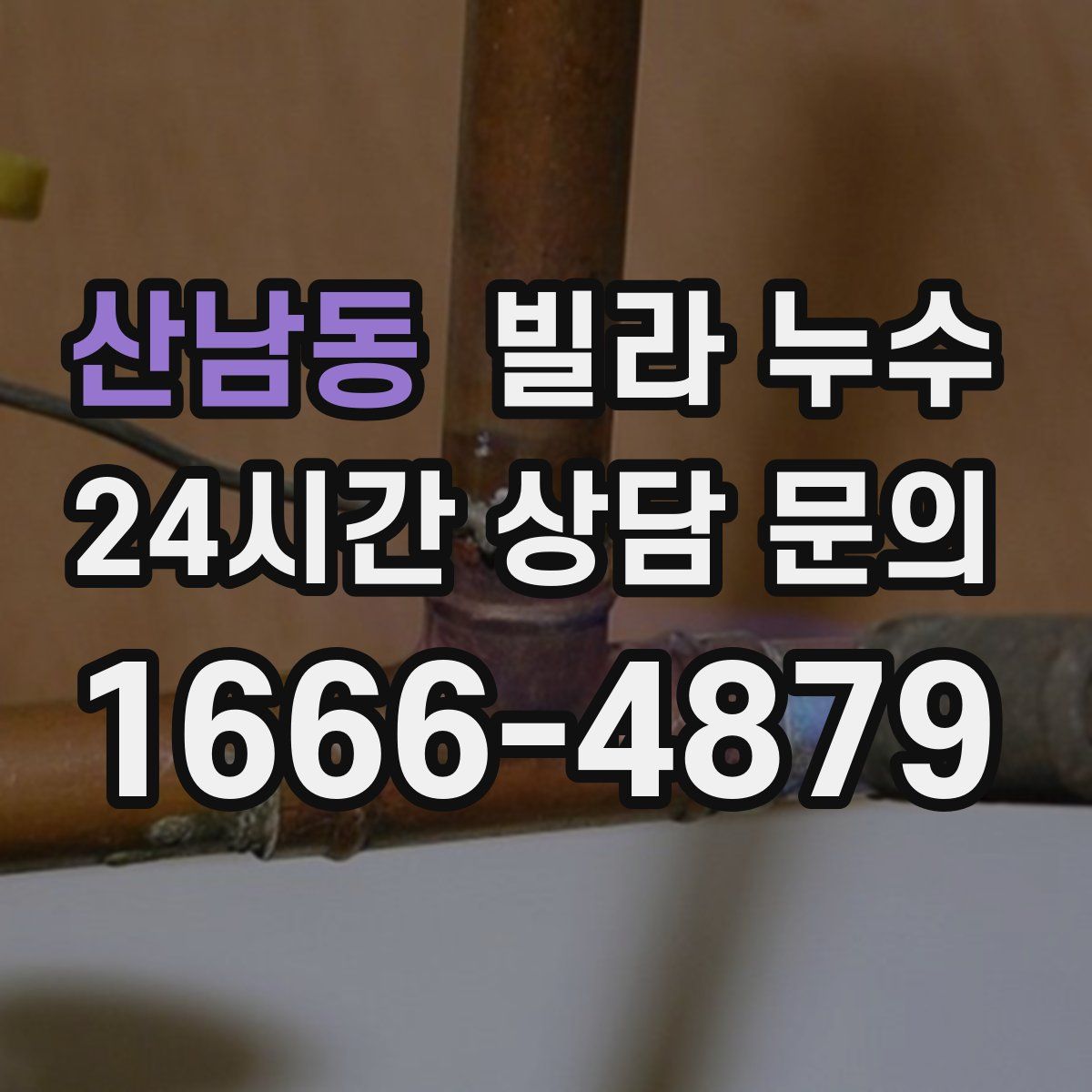 산남동 빌라 누수