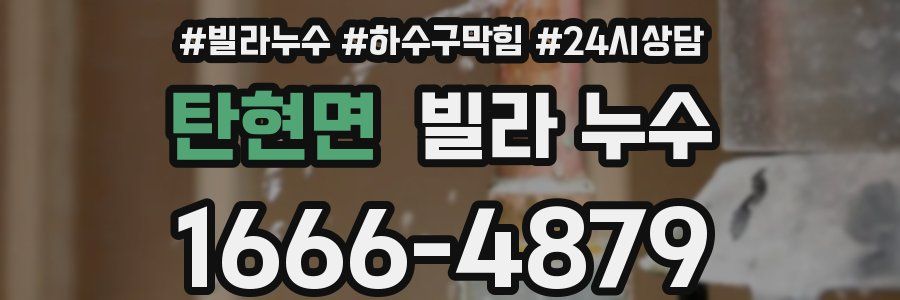 탄현면 빌라 누수