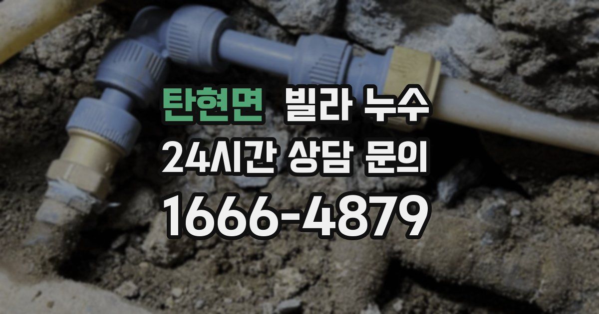탄현면 빌라 누수