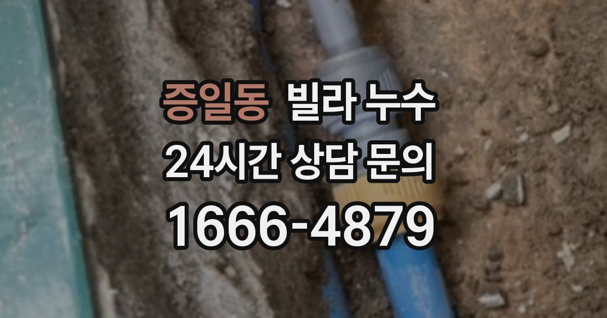 증일동 빌라 누수