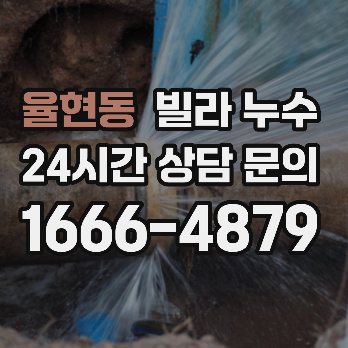 율현동 빌라 누수