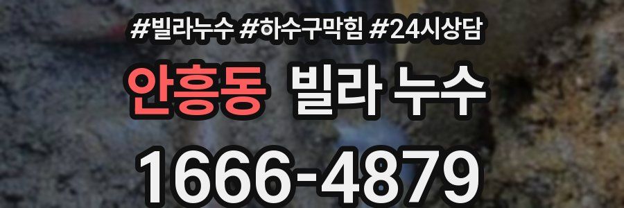 안흥동 빌라 누수