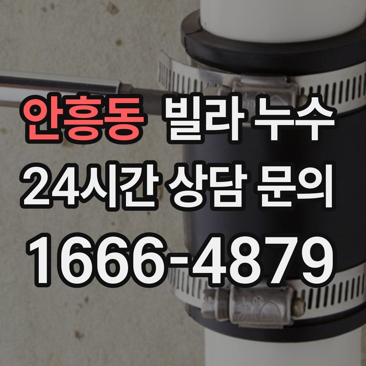 안흥동 빌라 누수