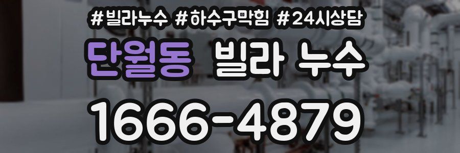 단월동 빌라 누수