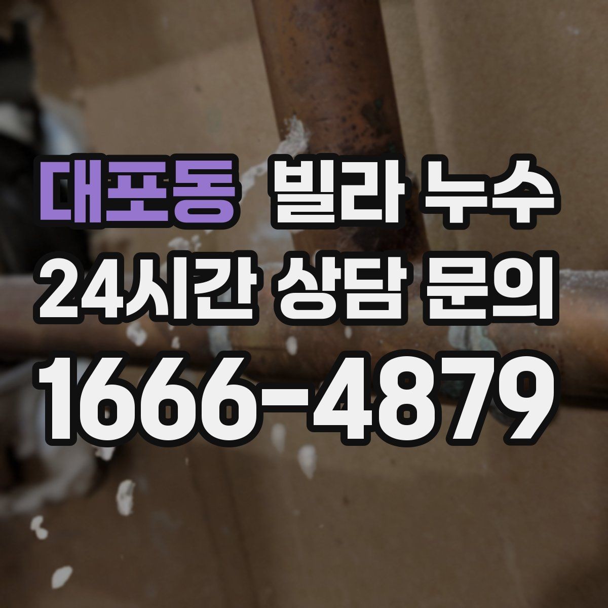 대포동 빌라 누수 옥상 방수 문제로 생기는 증상일까