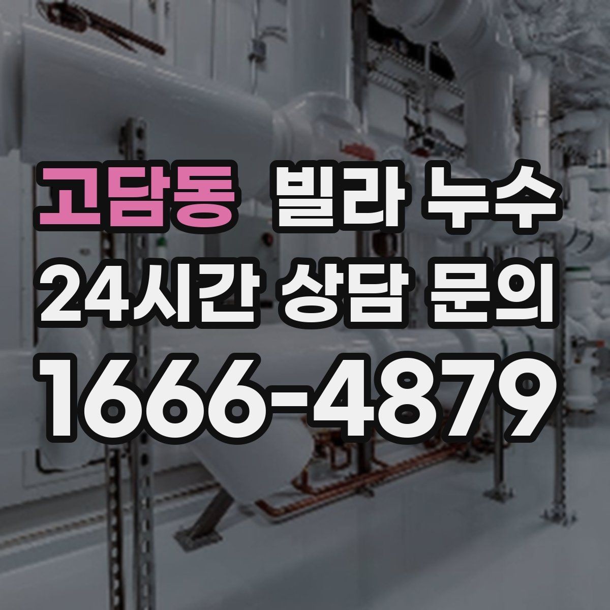고담동 빌라 누수 도배만 다시 하면 재발하는 이유