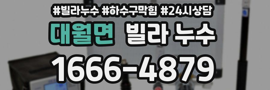 대월면 빌라 누수