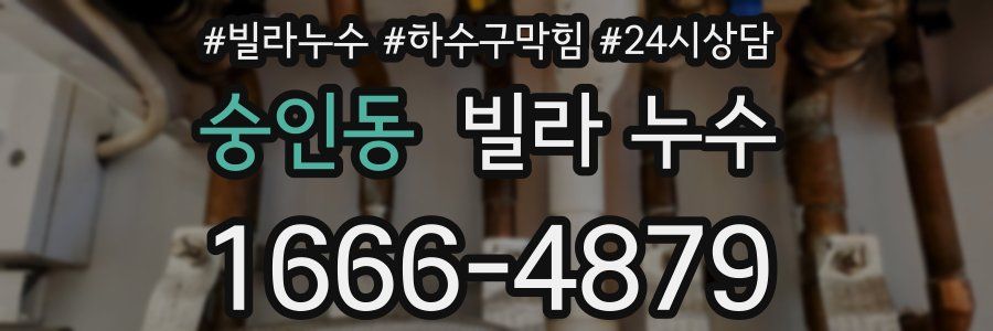 숭인동 빌라 누수