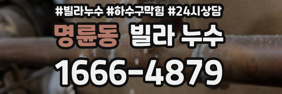 명륜동 빌라 누수