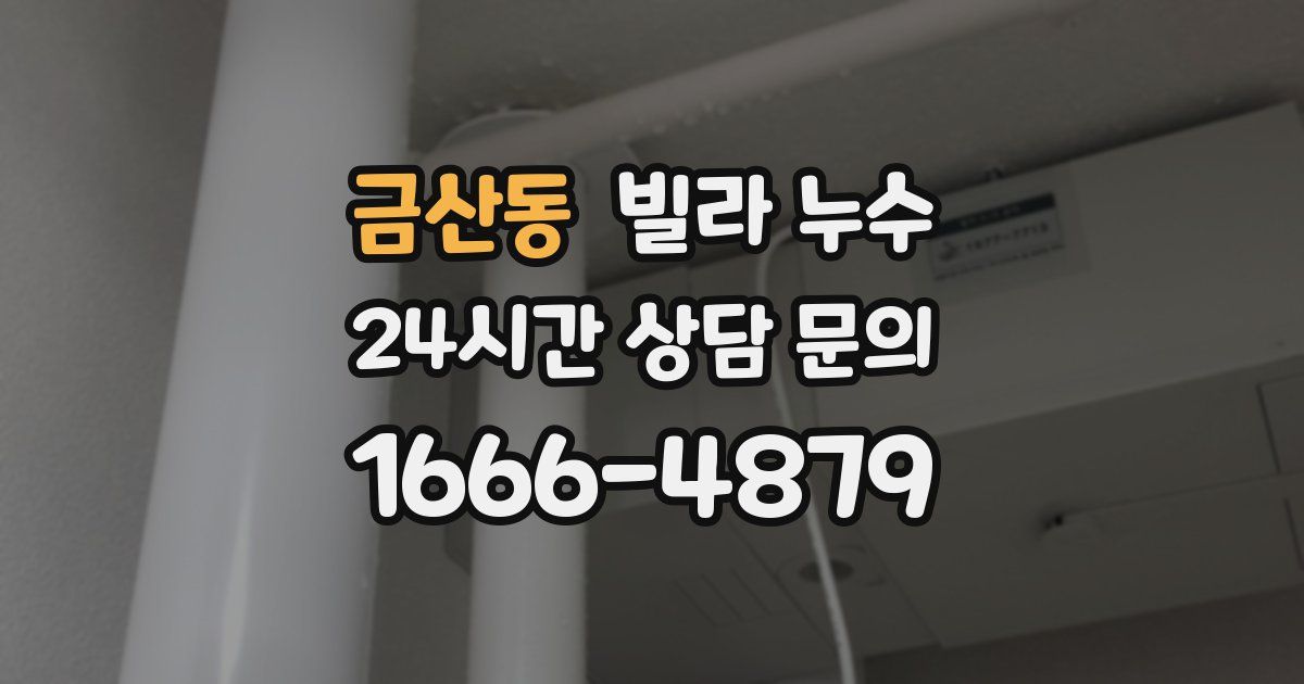 금산동 빌라 누수