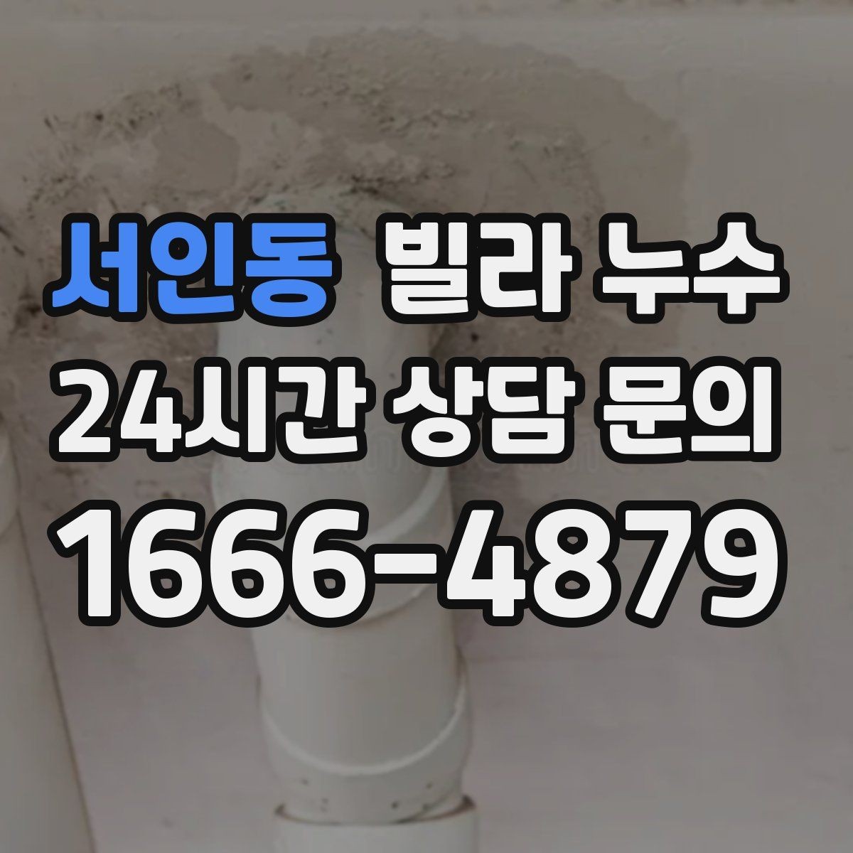 서인동 빌라 누수 욕실에서만 냄새가 올라오면 배수도 점검