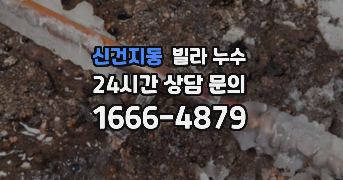 신건지동 빌라 누수