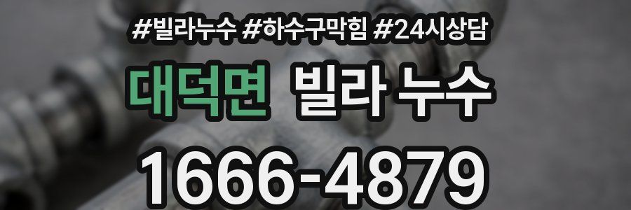 대덕면 빌라 누수