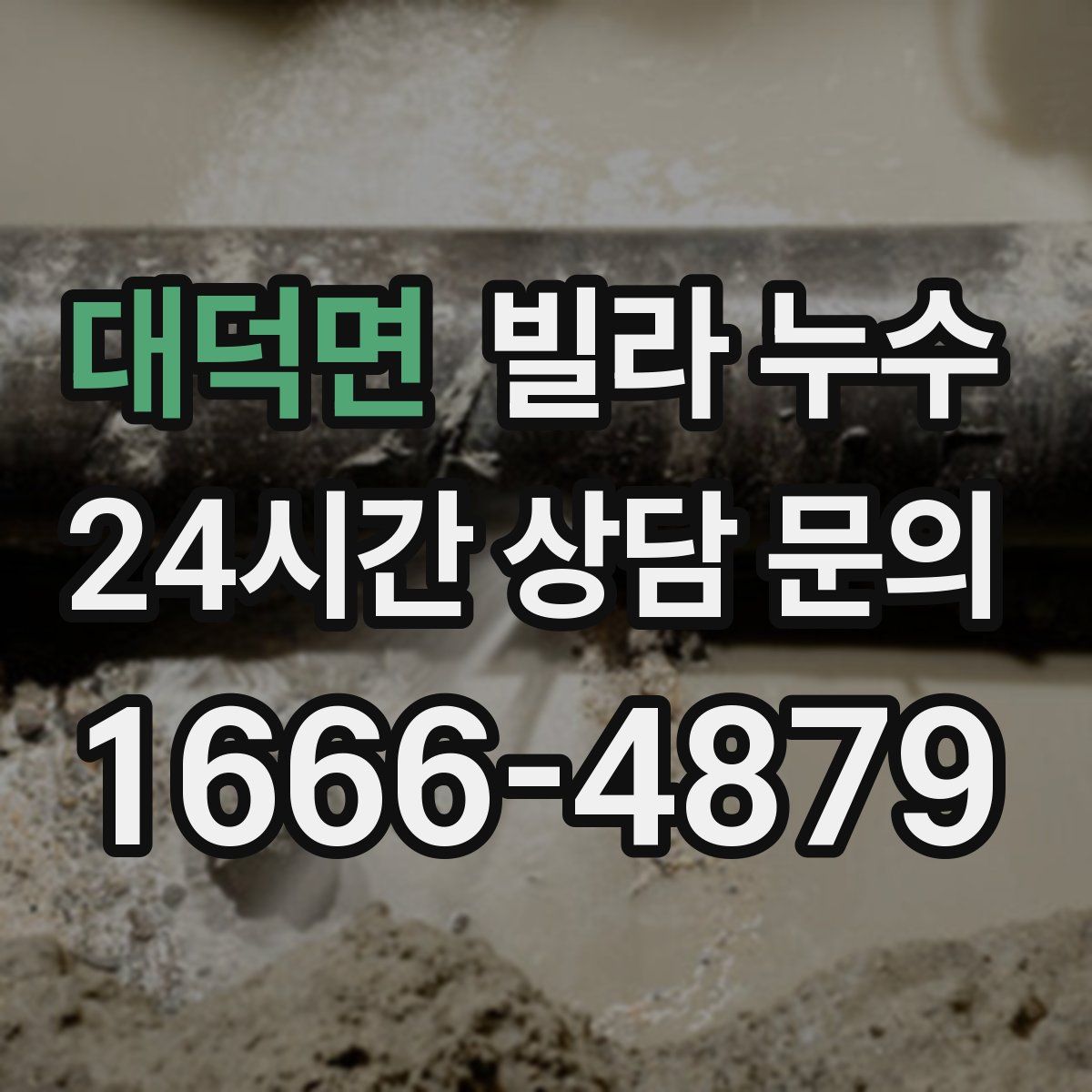 대덕면 빌라 누수