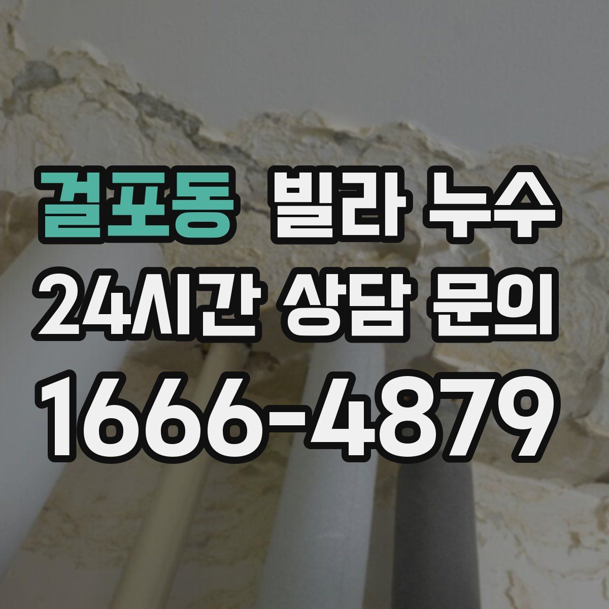 걸포동 빌라 누수