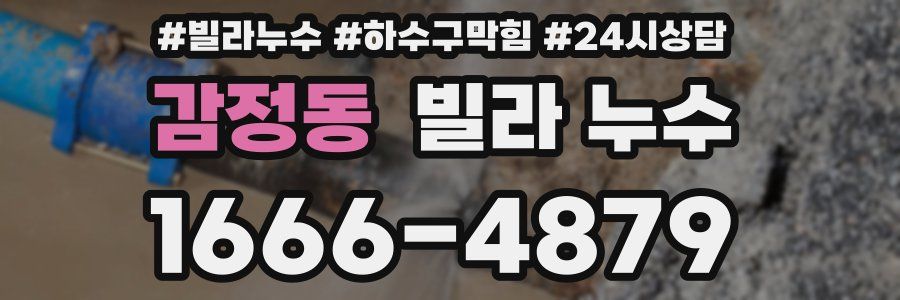 감정동 빌라 누수