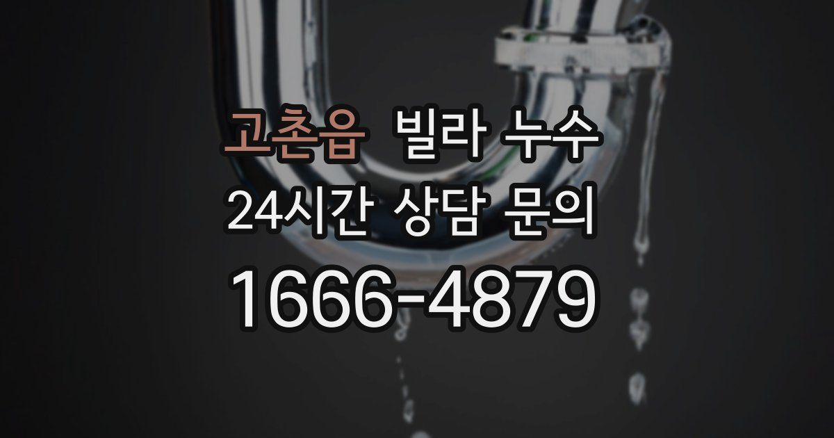 고촌읍 빌라 누수