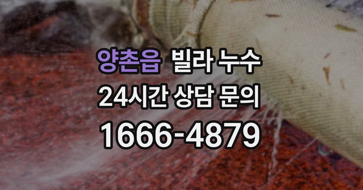 양촌읍 빌라 누수