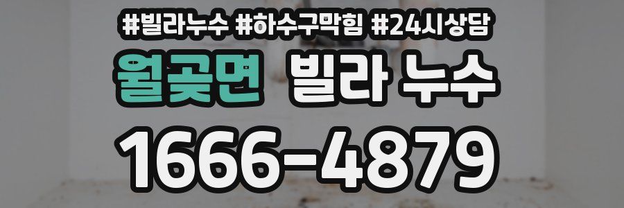 월곶면 빌라 누수