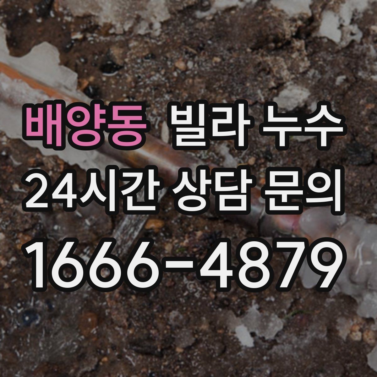 배양동 빌라 누수 원인 파악부터 복구까지 흐름을 정리