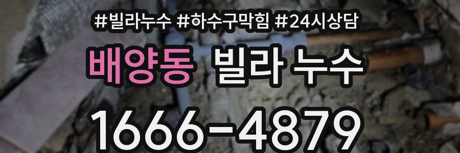 배양동 빌라 누수