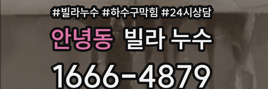 안녕동 빌라 누수