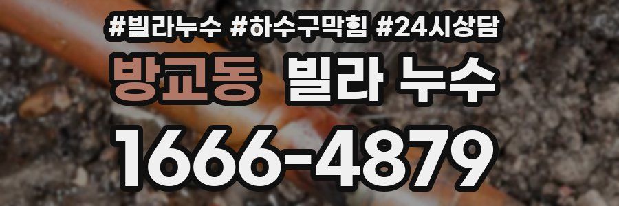 방교동 빌라 누수